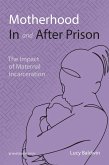 Motherhood In and After Prison (eBook, PDF)