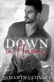 Down In Flames (Silver Tongued Devils, #1) (eBook, ePUB) Down In Flames (Silver Tongued Devils, #1) (eBook, ePUB)