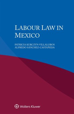 Labour Law in Mexico (eBook, PDF) - Kurczyn-Villalobos, Patricia; Sanchez-Castaneda, Alfredo