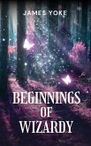 Beginnings Of Wizardy (eBook, ePUB)