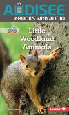 Little Woodland Animals (eBook, ePUB)