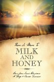 There Is More To Milk and Honey (eBook, ePUB) There Is More To Milk and Honey (eBook, ePUB)
