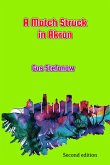A Match Struck in Akron (eBook, ePUB) A Match Struck in Akron (eBook, ePUB)