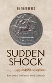 Sudden Shock (eBook, ePUB)