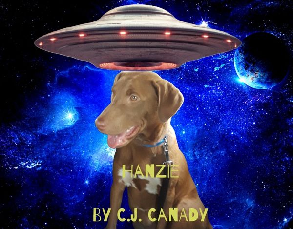 Hanzie (eBook, ePUB)
