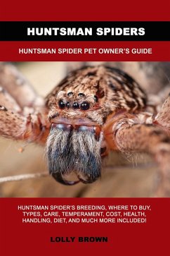 Cover Huntsman Spiders (eBook, ePUB)