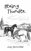 Healing Thunder (eBook, ePUB)