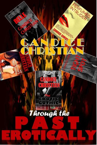 Through the Past Erotically (eBook, ePUB)