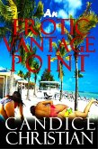 An Erotic Vantage Point (eBook, ePUB) An Erotic Vantage Point (eBook, ePUB)