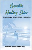 Beneath Healing Skies (eBook, ePUB)