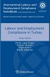 Labour and Employment Compliance in... - Bild 1