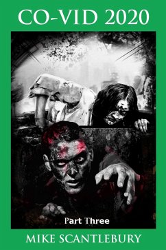 Cover CO-VID 2020, Part 3 (Amelia Hartliss Mysteries, #23) (eBook, ePUB)