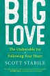 Big Love (eBook, PDF) - Bild 1