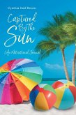 Captured by the Sun (eBook, ePUB)