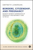 Borders, Citizenship, and Pregnancy (eBook, ePUB)
