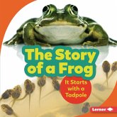 Story of a Frog (eBook, PDF)