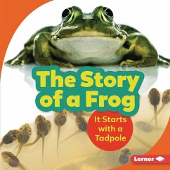 Story of a Frog (eBook, PDF) - Zemlicka, Shannon