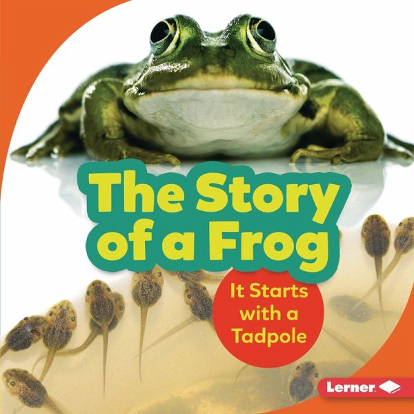 Story of a Frog (eBook, PDF)
