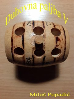 Cover Duhovna paljba V (eBook, ePUB)