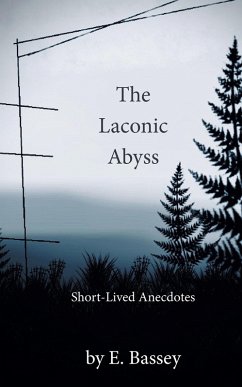 Cover The Laconic Abyss (eBook, ePUB)