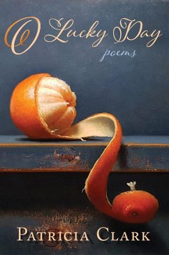 Cover O Lucky Day (eBook, ePUB)