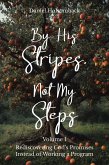 By His Stripes, Not My Steps (eBook, ePUB)