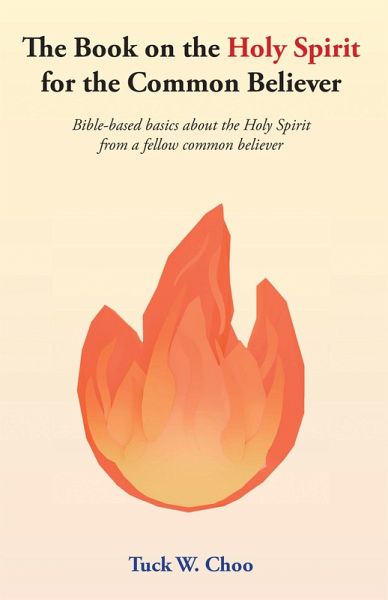 The Book on the Holy Spirit for the Common Believer (eBook, ePUB)