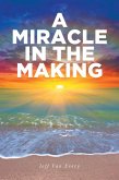 A Miracle in the Making (eBook, ePUB)