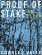 Proof of Stake (eBook, ePUB) - Bild 1