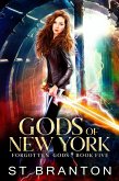 Gods of New York (eBook, ePUB)