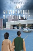 THE GRANDMOTHER WE NEVER MET (eBook, ePUB) THE GRANDMOTHER WE NEVER MET (eBook, ePUB)