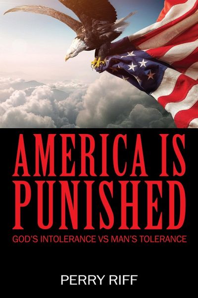 America is Punished (eBook, ePUB) America is Punished (eBook, ePUB)