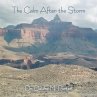 The Calm After the Storm (eBook, ePUB) - Bild 1