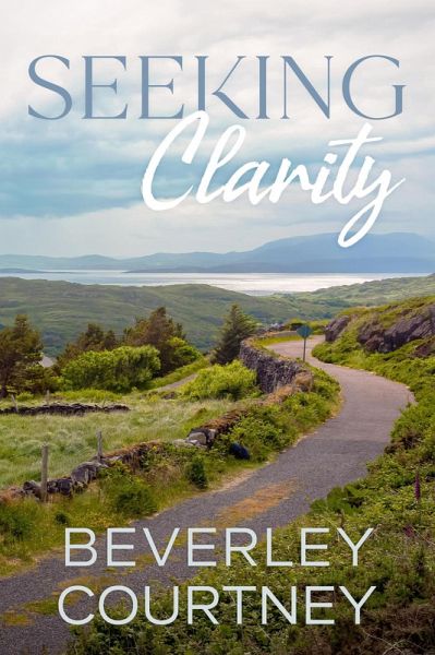 Seeking Clarity: A Women's Fiction Novel of Children, Career, and Creativity (Dilemmas and Discovery, #2) (eBook, ePUB)