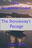 The Stowaway's Passage (eBook, ePUB)