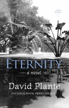 Eternity (eBook, ePUB) - Plante, David