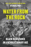 Water from the Rock (eBook, ePUB) Water from the Rock (eBook, ePUB)