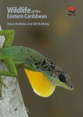 Wildlife of the Eastern Caribbean (eBook, ePUB)