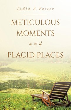Cover Meticulous Moments and Placid Places (eBook, ePUB)