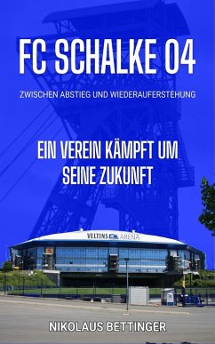 Cover FC Schalke 04 - Zwischen Abstieg und Wiederauferstehung (eBook, ePUB)