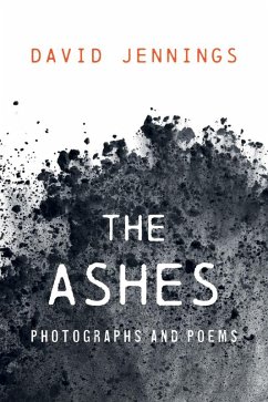 The Ashes (eBook, ePUB)