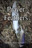 PRAYER FEATHERS (eBook, ePUB)