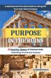 Purpose in the Ruins (eBook, ePUB) - Bild 1