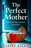 The Perfect Mother (eBook, ePUB)