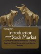 The Beginners Introduction to the Stock... - Bild 1