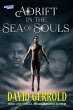 Adrift in the Sea of Souls (eBook, ePUB) - Bild 1