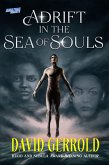 Adrift in the Sea of Souls (eBook, ePUB) Adrift in the Sea of Souls (eBook, ePUB)