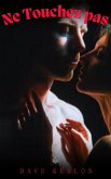 Ne Touchez pas (eBook, ePUB)