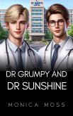 Dr Grumpy and Dr Sunshine (The Chance Encounters Series, #76) (eBook, ePUB)