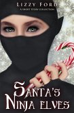 Santa's Ninja Elves (eBook, ePUB)